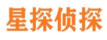 井研市调查公司